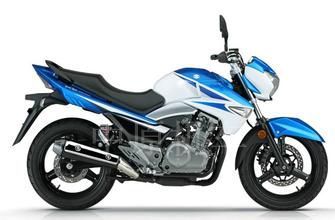 ������ľ ���GW250(�Ŷ���)